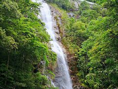 -九龙江国家森林公园