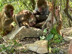 -重庆云阳龙缸景区
