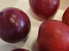 -蒙都43°9羊火锅·赤峰美食(宁城店)