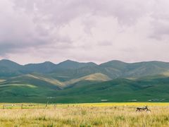 -青海湖国家重点风景名胜区