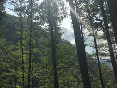 -藏龙百瀑风景区