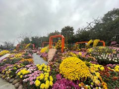 -南山植物园
