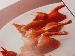 -茉里乐章(花园店)