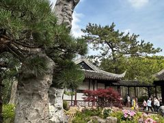 -枫桥景区
