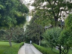 -团结湖公园