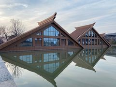 -广富林郊野公园