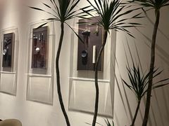 -桂满陇·海市蜃楼·黑金(国金店)
