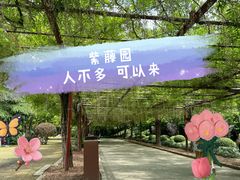 -嘉定紫藤园