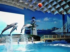 -海合安武汉极地海洋公园
