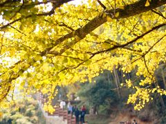 -径山寺