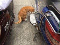 -满江红火锅(凯德店)