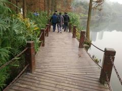 -重庆彩云湖湿地公园