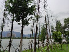 -飞来湖湿地公园