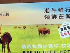 -宴全牛粤来越牛潮汕鲜牛肉火锅(海州万达广场店)