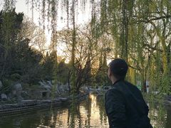 -淄博聊斋城景区