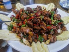 -向民炒鸡老店(金泰华府店)