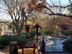 -东海森林温泉