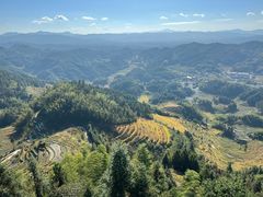 -紫鹊界梯田景区