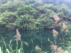 -紫云谷景区
