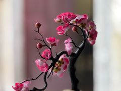 -拾院私厨(鳌湖艺术村店)