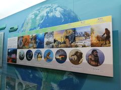 -大同煤炭博物馆