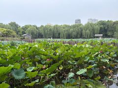 -方中山胡辣汤(顺河路店)