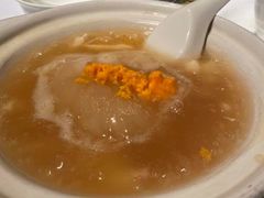 -新同乐鱼翅酒家(美丽华店)