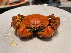 清蒸太湖蟹-新发展亚太JW万豪酒店·福苑咖啡厅