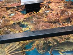 -盒马鲜生(宝地店)