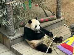 -大连森林动物园