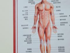 -张钰强中医正骨推拿连锁(唐家人才公寓店)