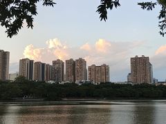 -南宁南湖公园