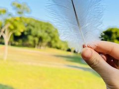 -福建鲤鱼洲酒店