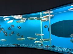 -碧涛阁水世界酒店(万家丽路店)