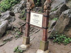 -黔灵山公园