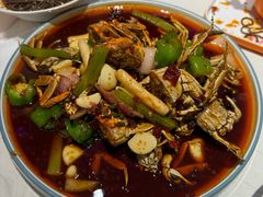 -杨氏青龙虾·羊蝎子(托乐嘉店)
