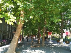 -第二外国语学院-韩国餐厅(朝阳路店)