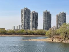 -长白岛森林公园