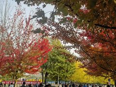 -辽宁大学(崇山校区)