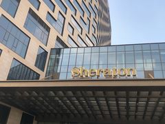 -上海嘉定喜来登酒店