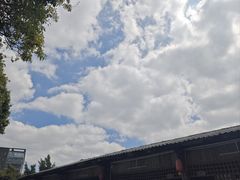 -鲤鱼塘农家山庄