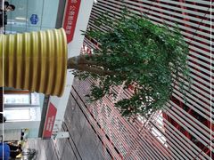 -首都机场t3-c国航两舱休息室