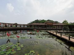 -广州莲花山旅游区
