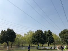 -九里河湿地公园