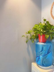 -哈颜科技轻美·