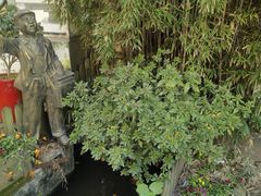 -老洋房花园饭店(绍兴路店)