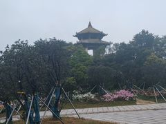 -梧桐山风景名胜区