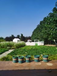 -DORA kids 朵拉儿童摄影花园店