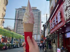 -蜜雪冰城·冰淇淋与茶(长郡中学店)