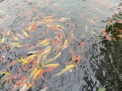 -岭南和园